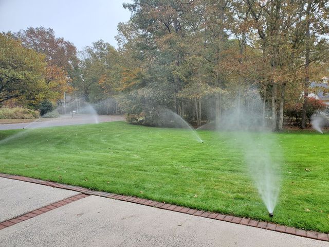 Lawn sprinklers watering a bright green lawn, trees in the background, gray overcast sky.