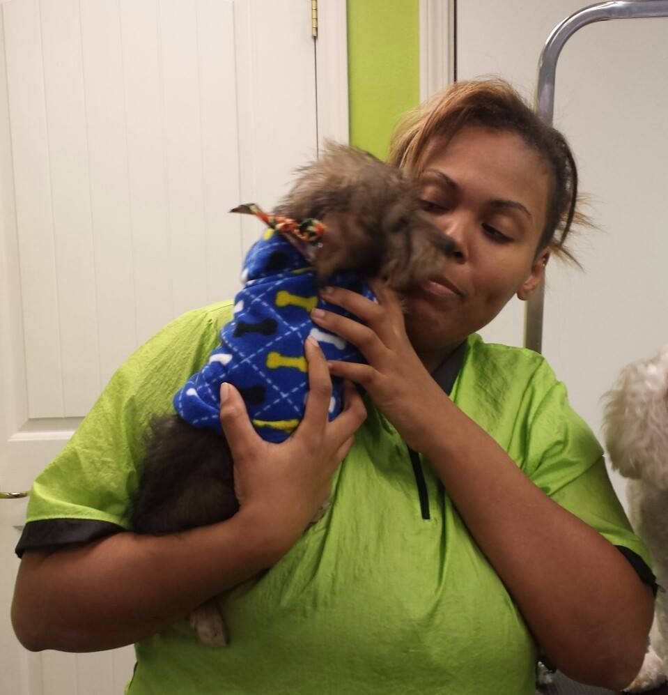 A woman in a green shirt is holding a small dog