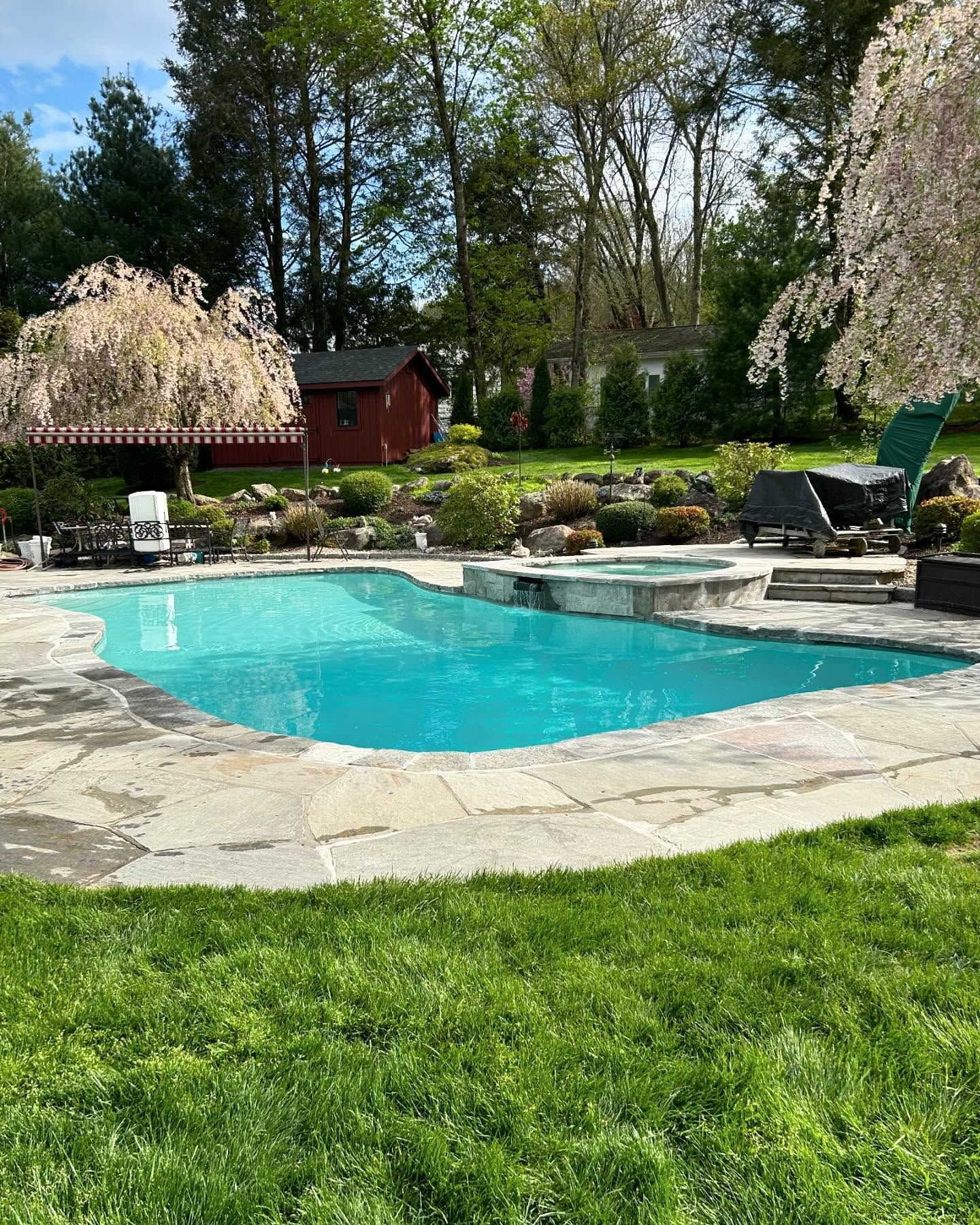 There is a large swimming pool in the middle of a lush green yard.