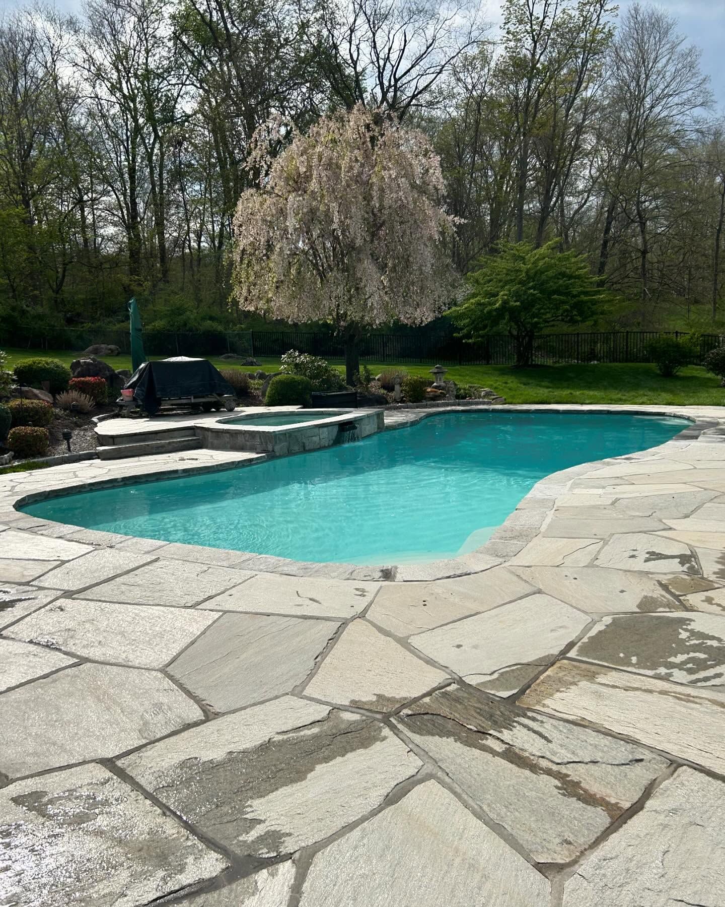 pool service stamford ct