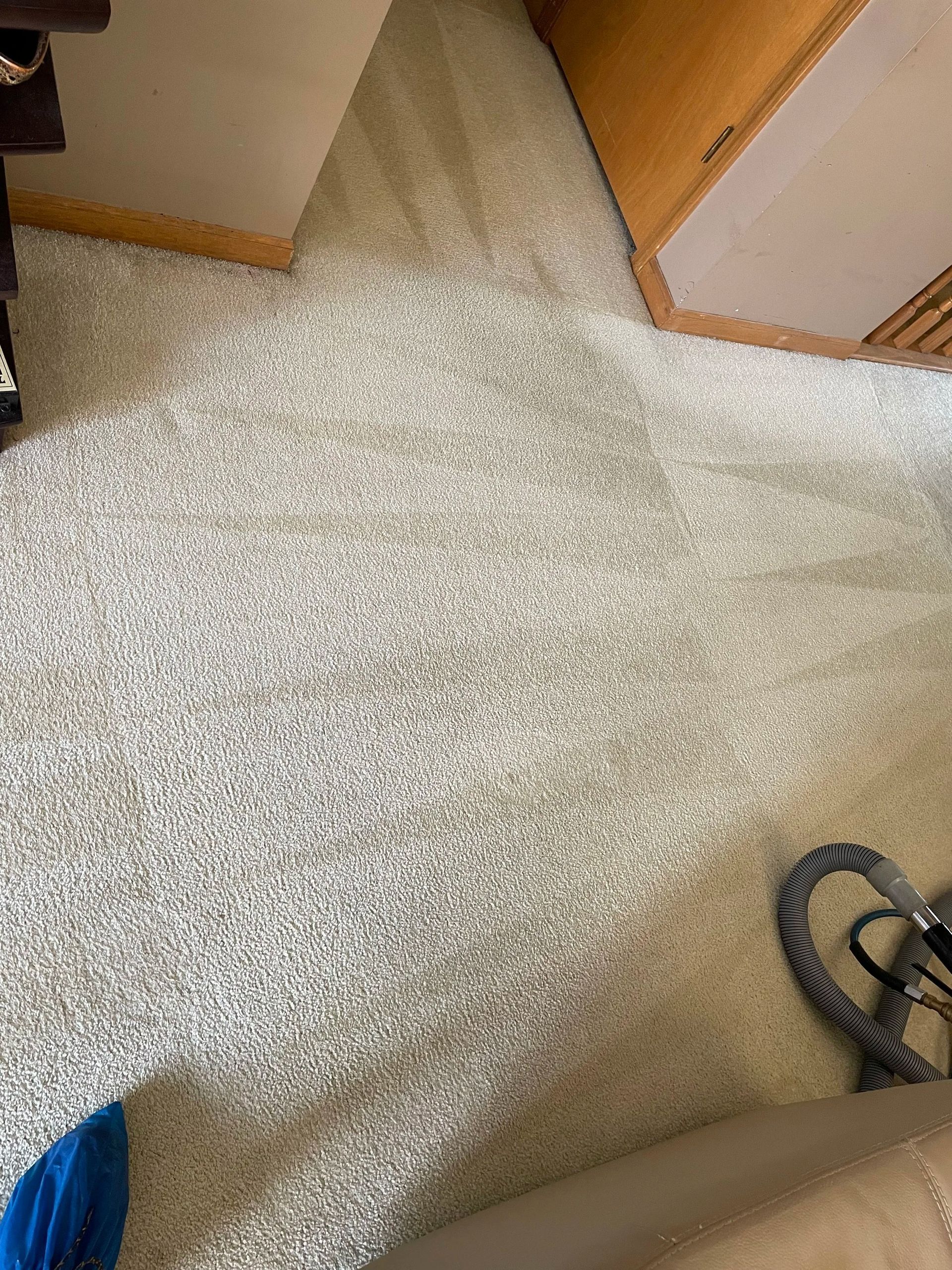 Beige carpeted hallway with doorways and a vacuum hose on the floor.