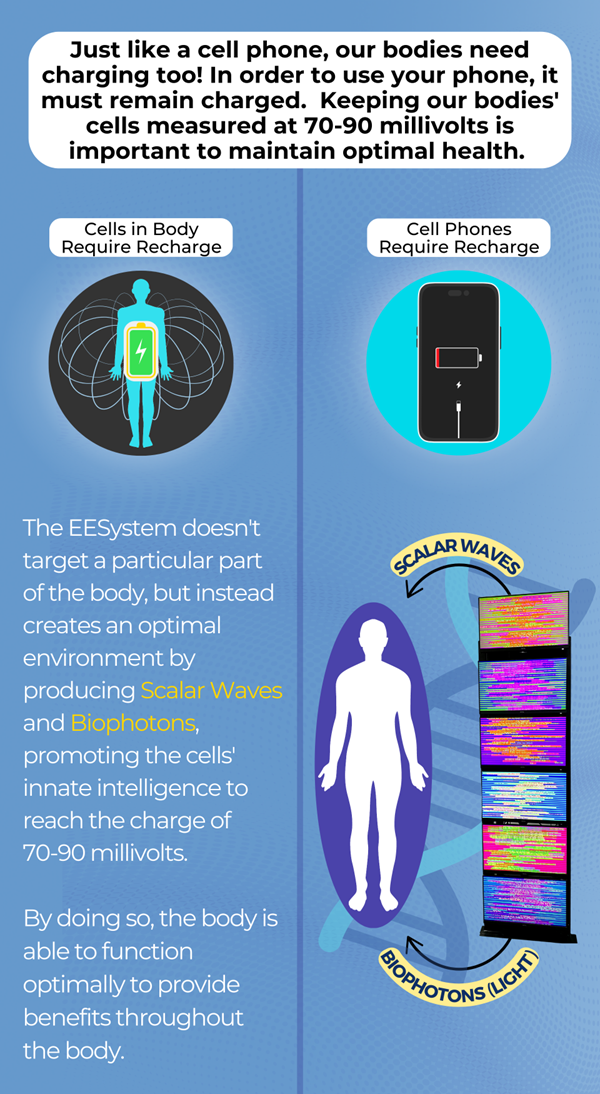 Infographic comparing body's charging needs to a cell phone. Shows cell's voltage, and energy recharge.