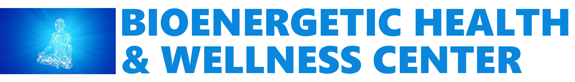 Bioenergetic Health & Wellness Center - Logo