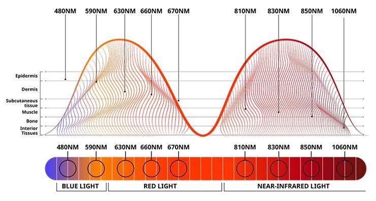 Visible light spectrum diagram with color wavelengths from blue through red to near-infrared