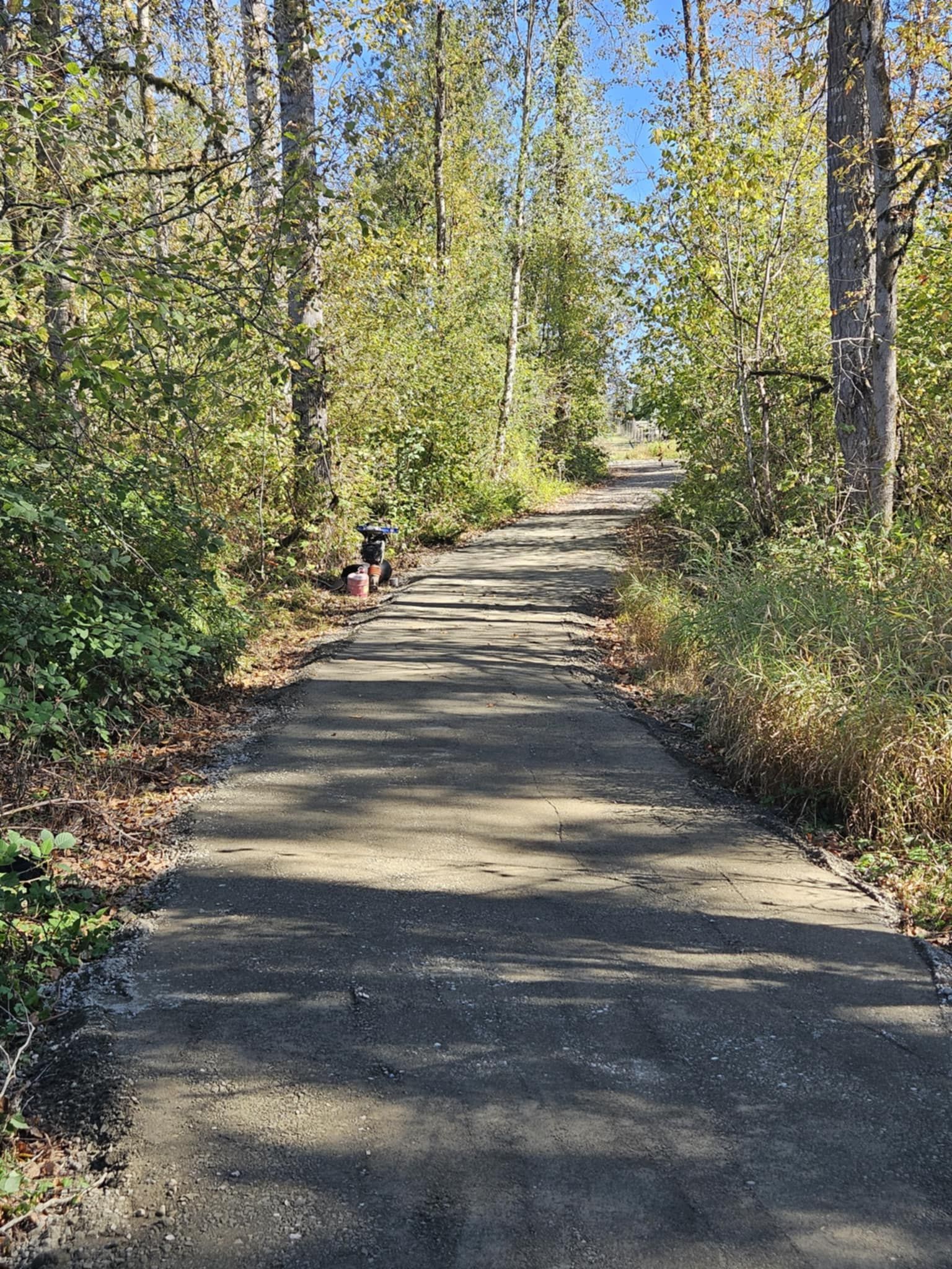 A person is walking down a path in the woods.
