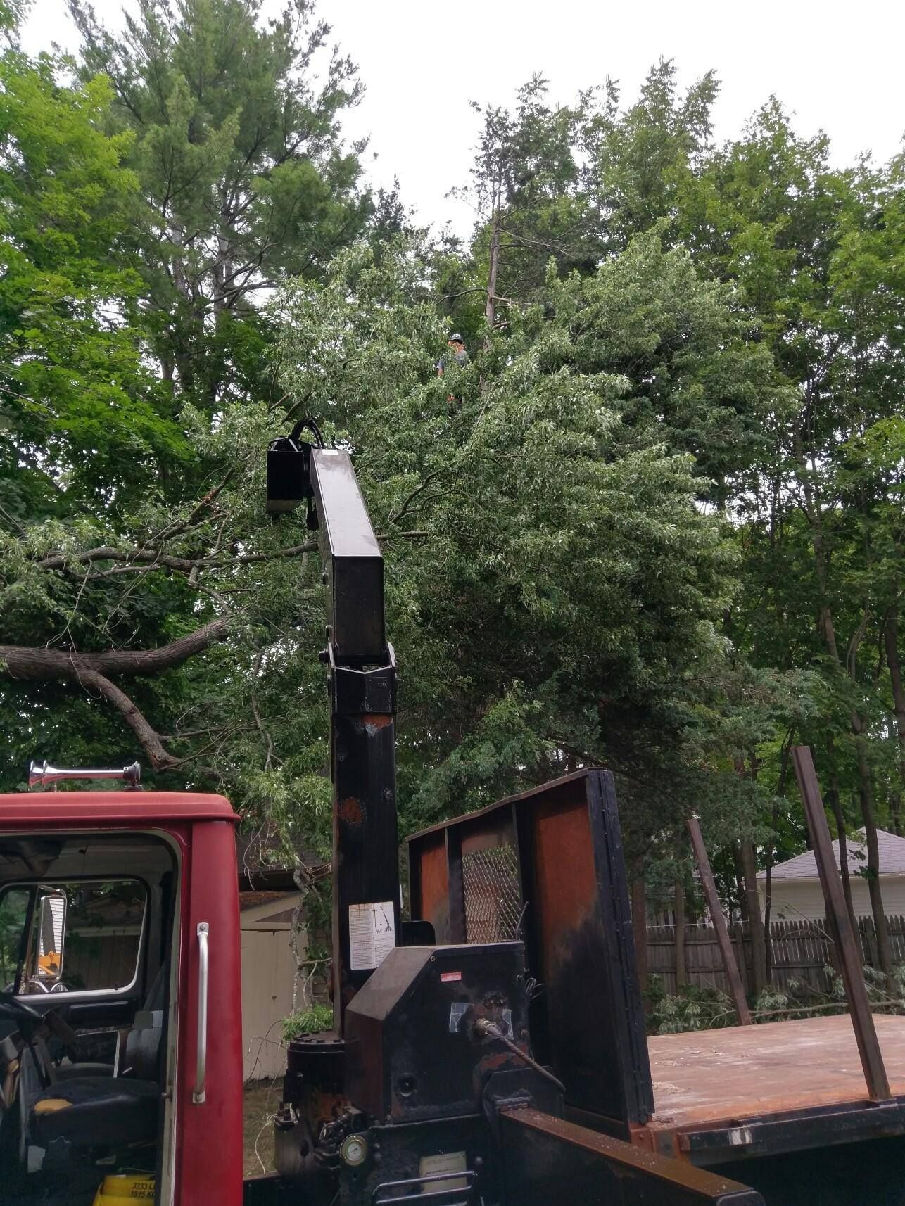 A red truck with a crane attached to it is parked in front of a tree.