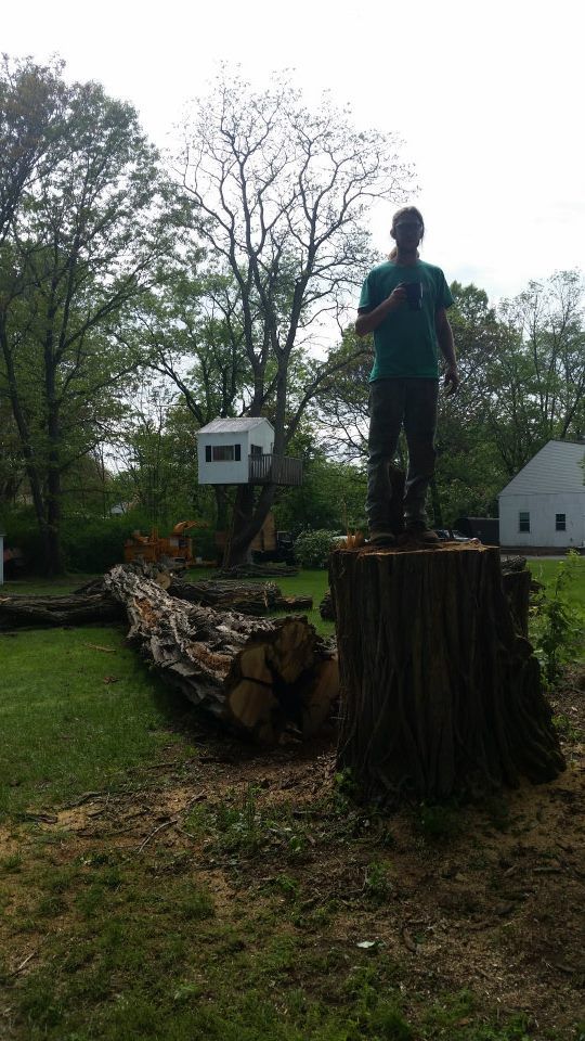 A man is standing on top of a tree stump.