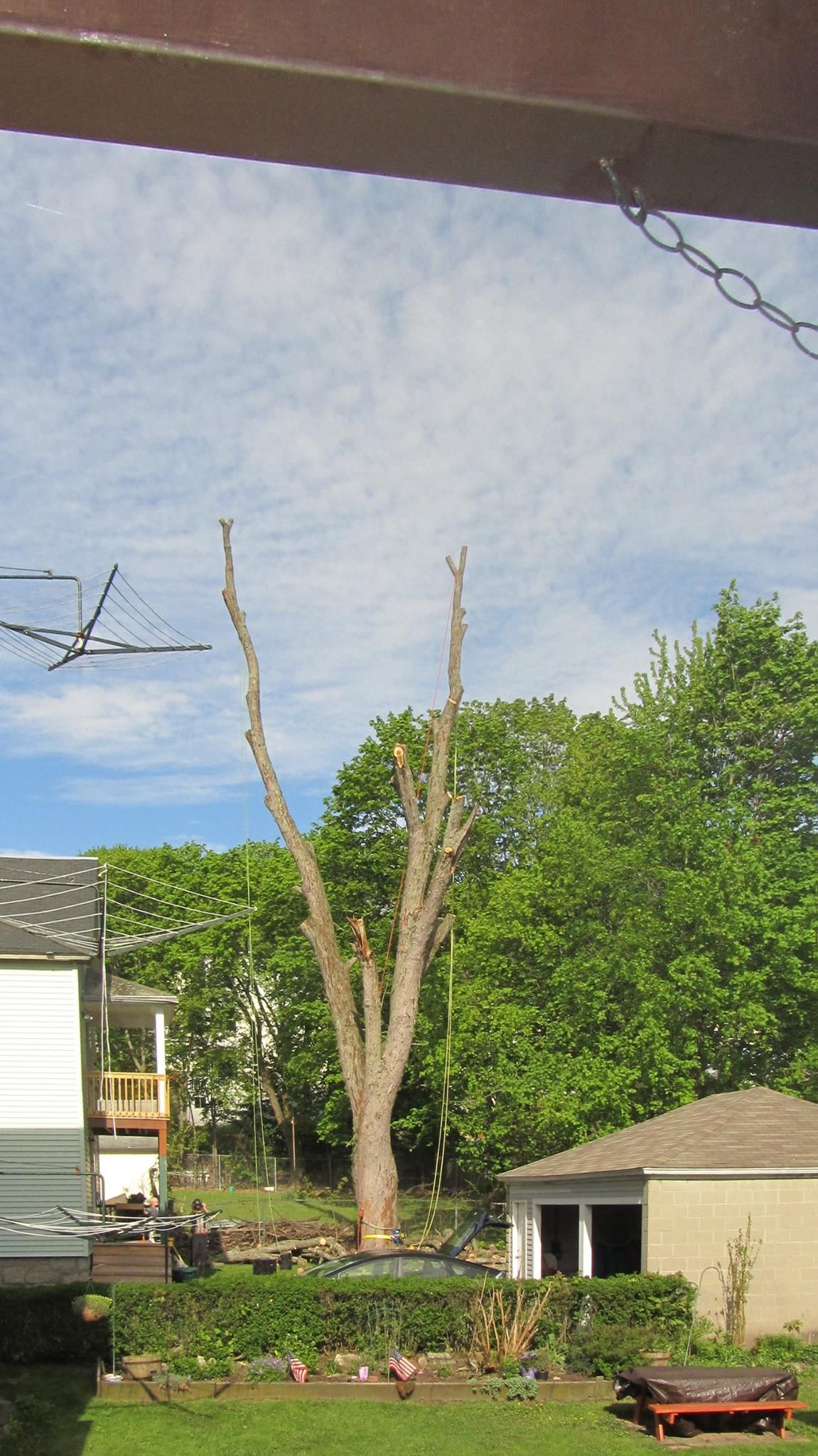A tree is being cut down in front of a house