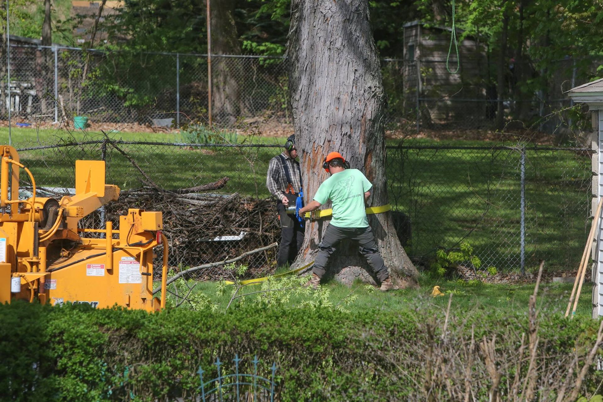 Two men are working on a tree stump in a yard.