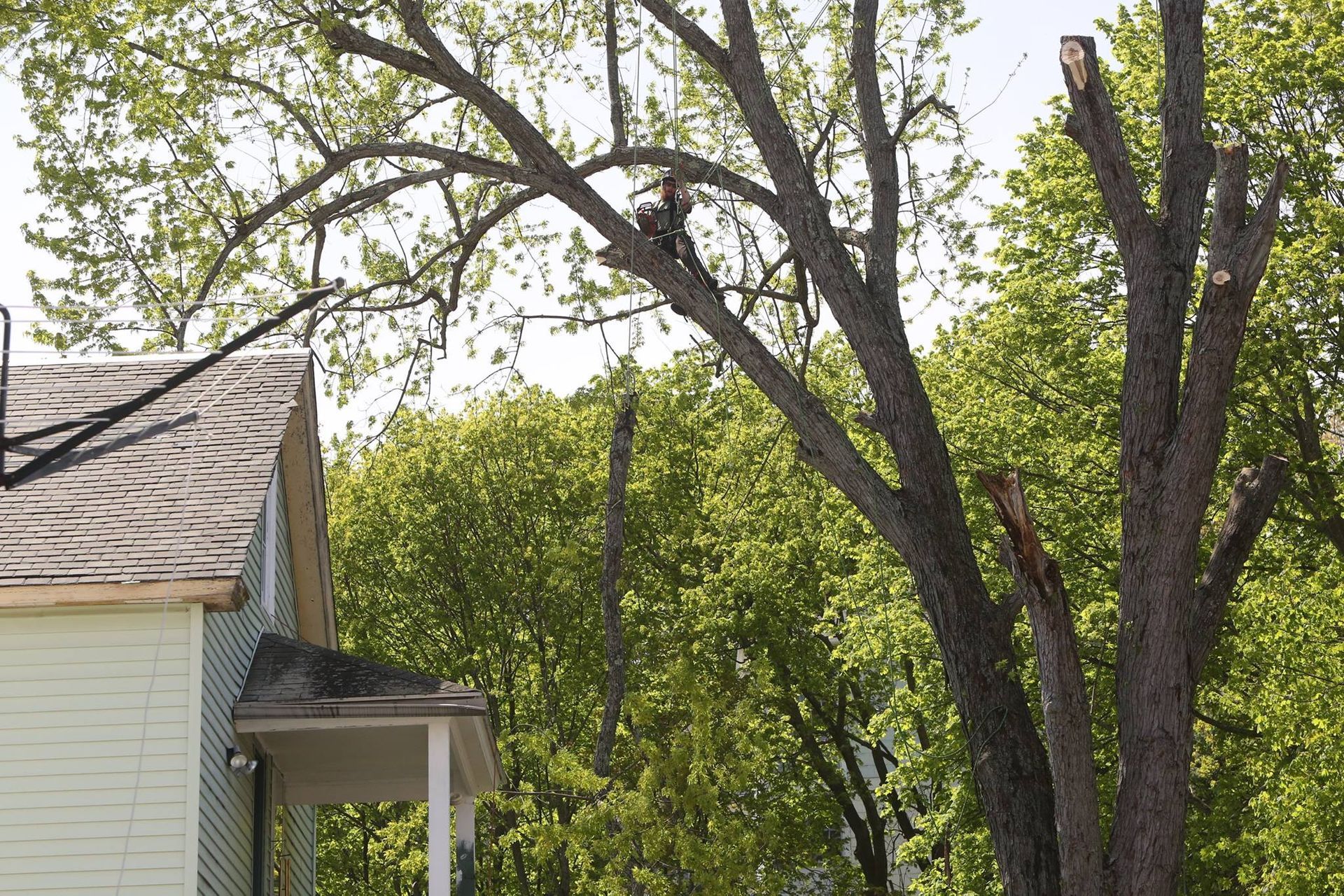 A house with a porch and a tree in front of it