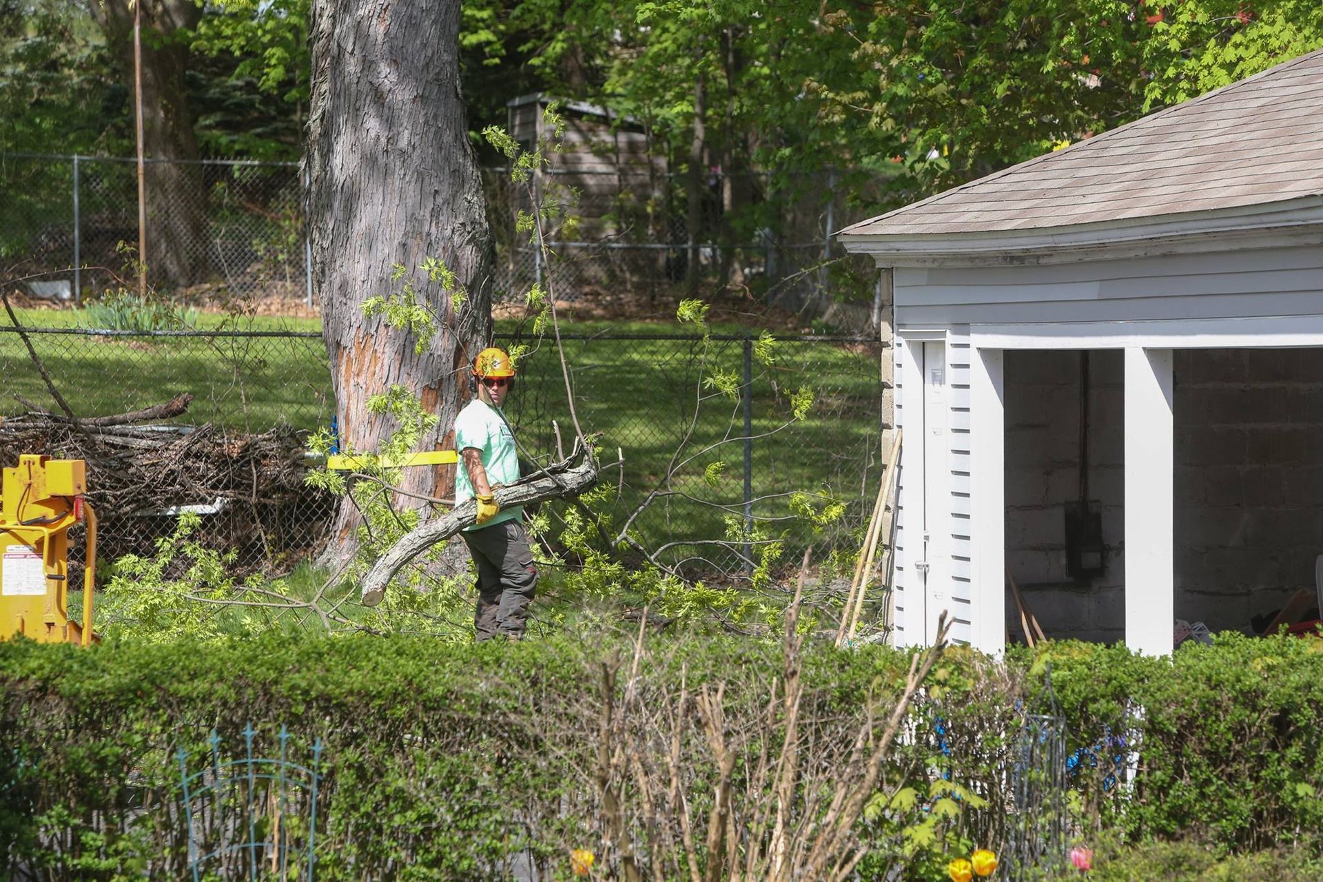 A man is cutting a tree in front of a garage.