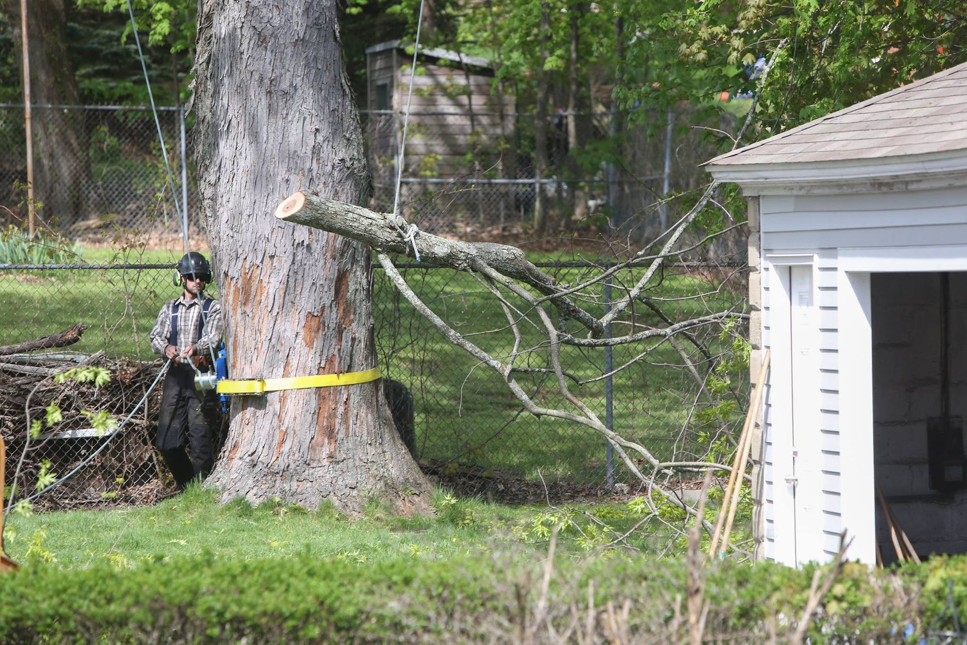 A man is cutting a tree with a chainsaw in front of a garage.