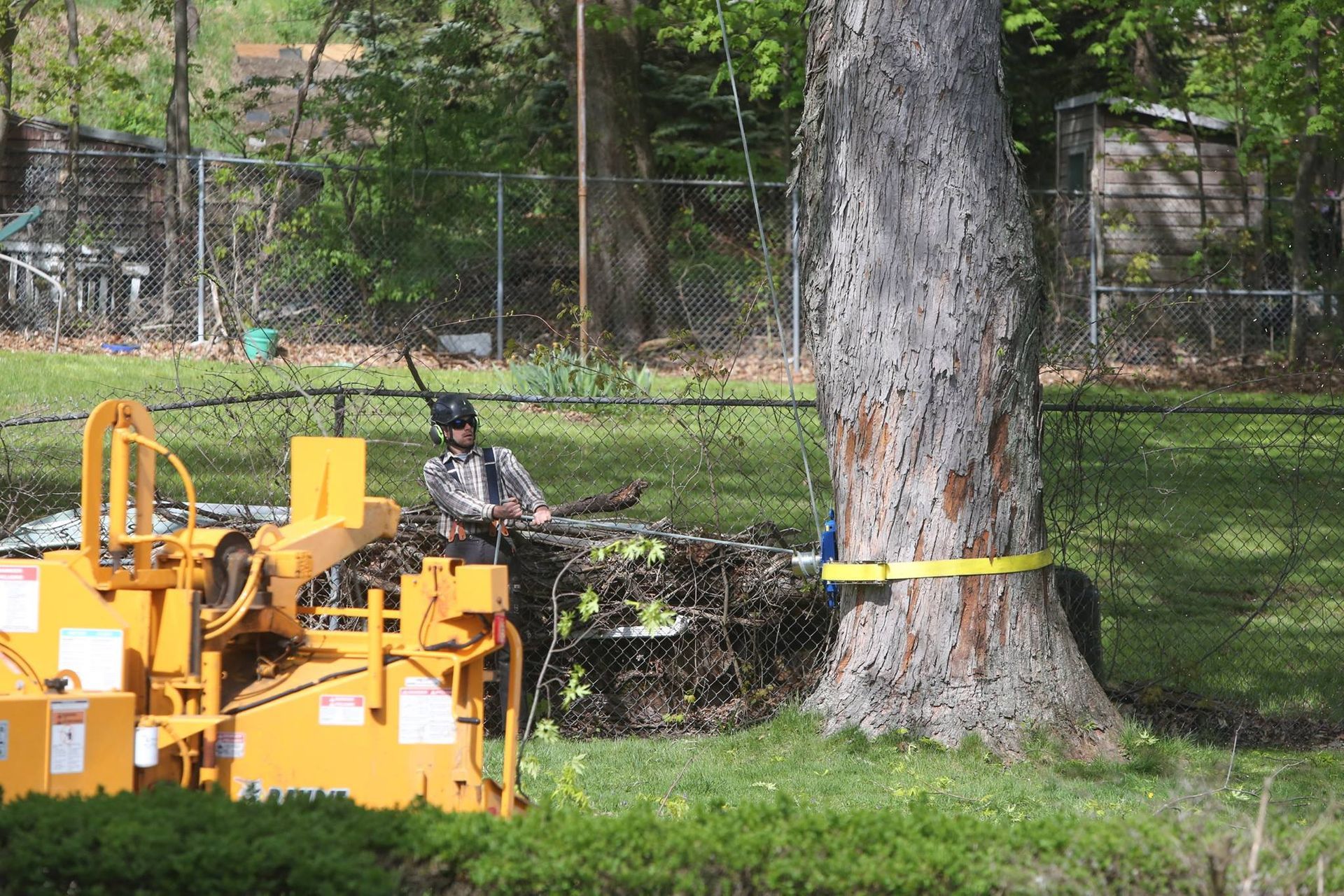 A man is sitting on a machine next to a tree.