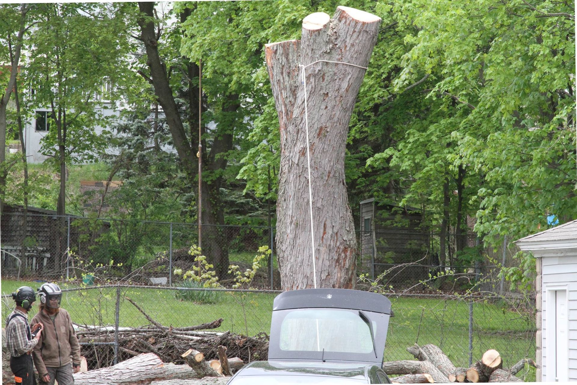 A truck is parked in front of a large tree stump