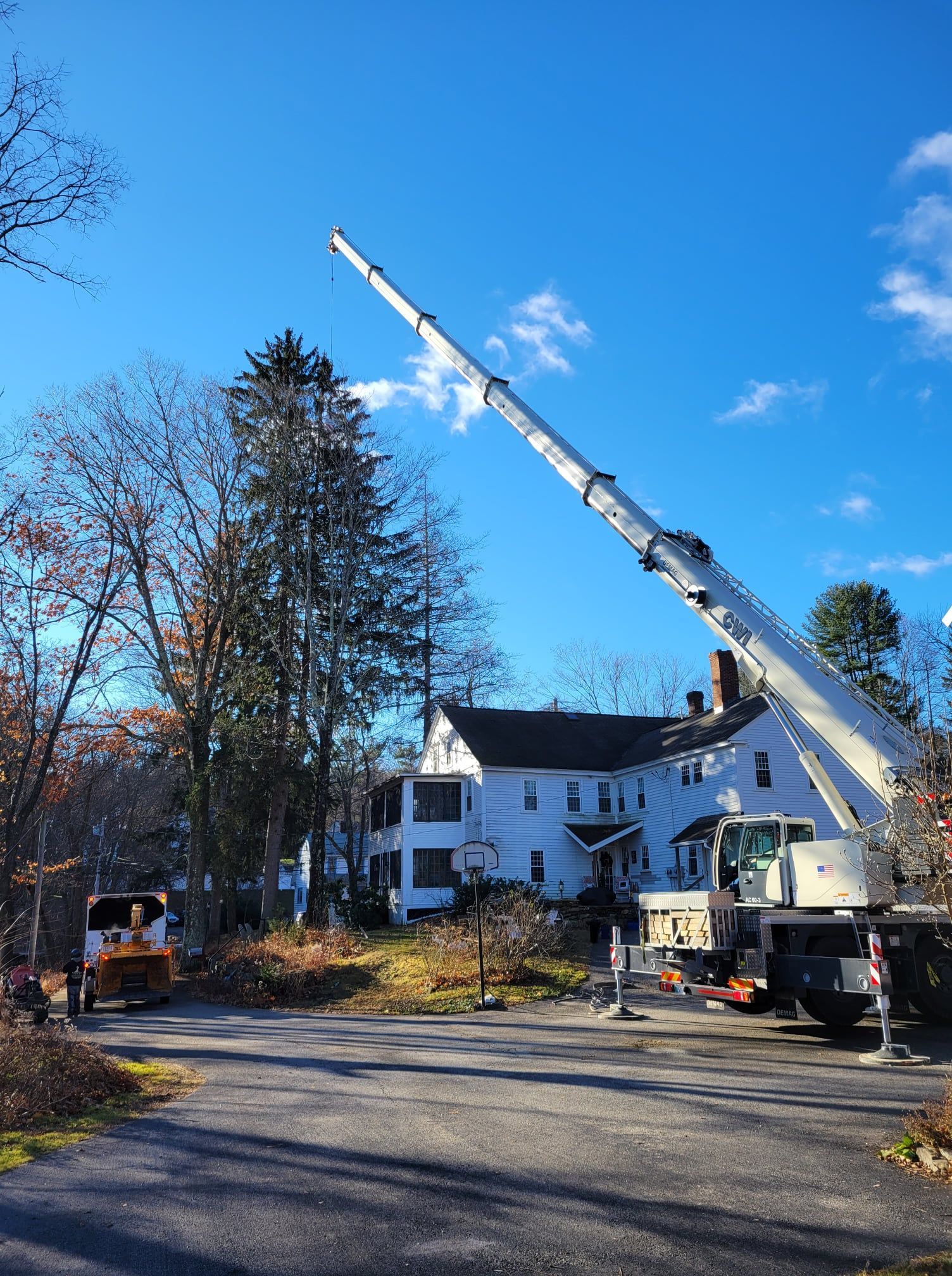 A crane is lifting a tree in front of a house.