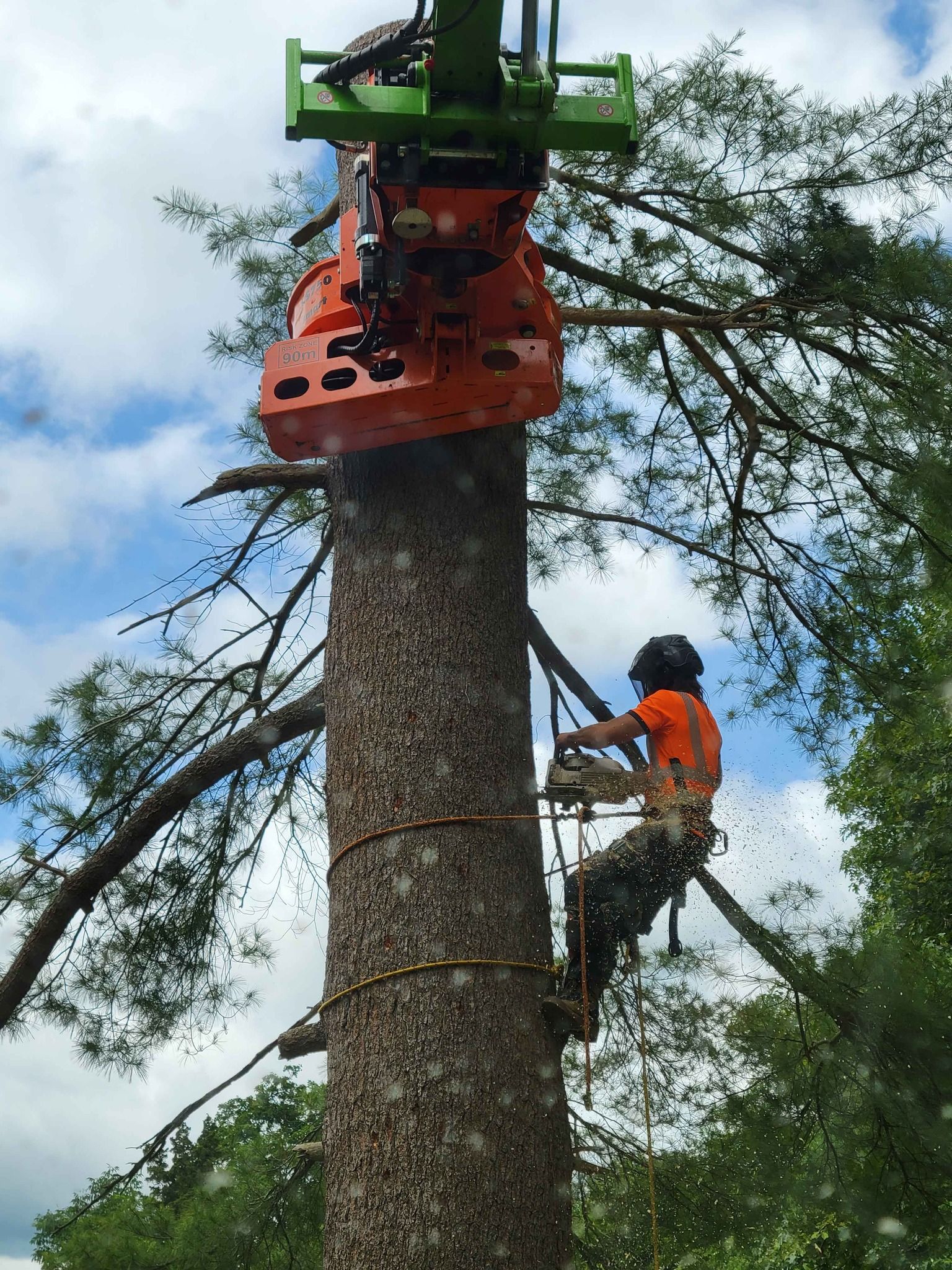 A man is cutting down a tree with a chainsaw.