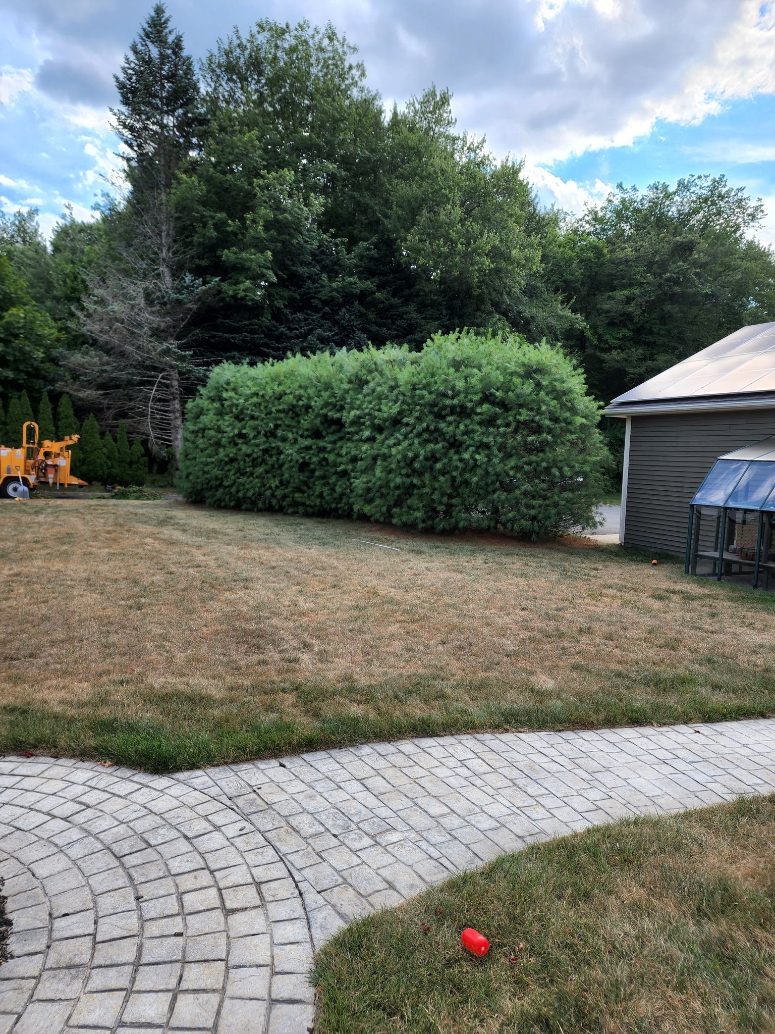 A brick walkway leading to a shed in a backyard.