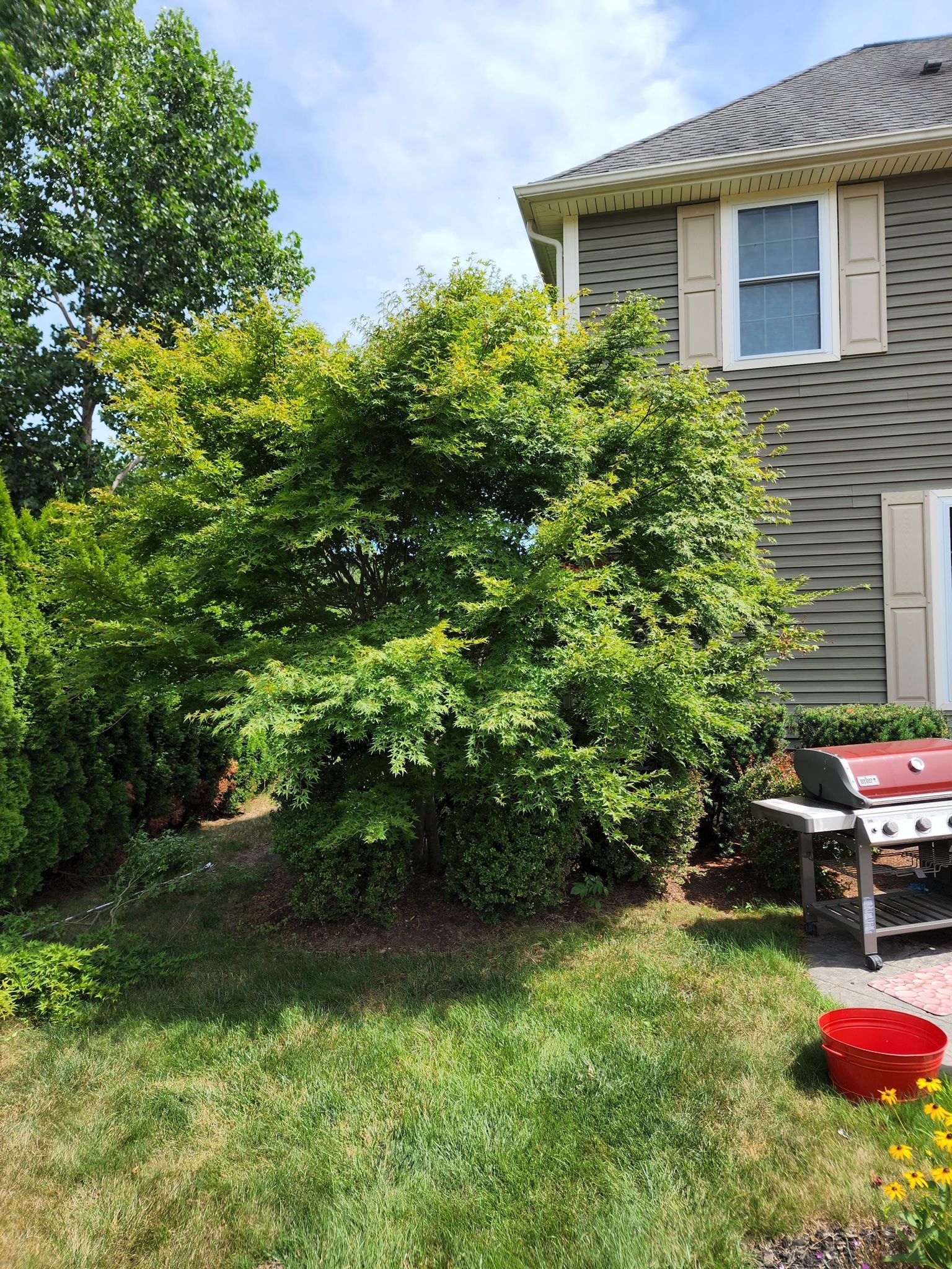 There is a grill in the backyard of a house.