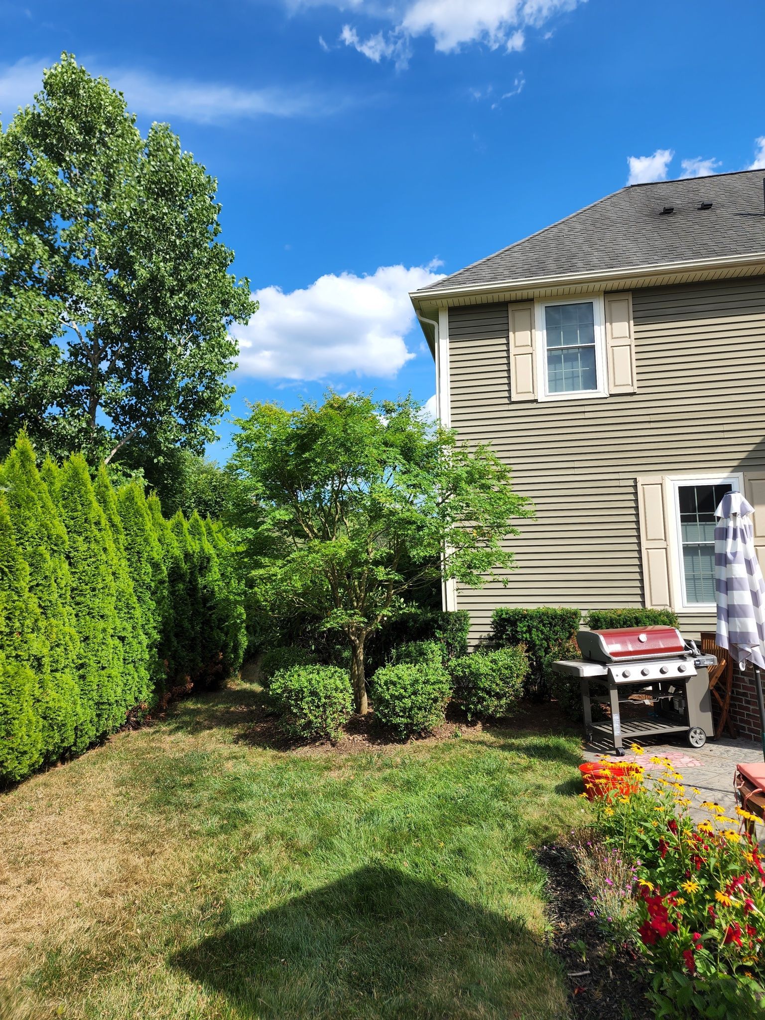 A house with a grill in the backyard on a sunny day.