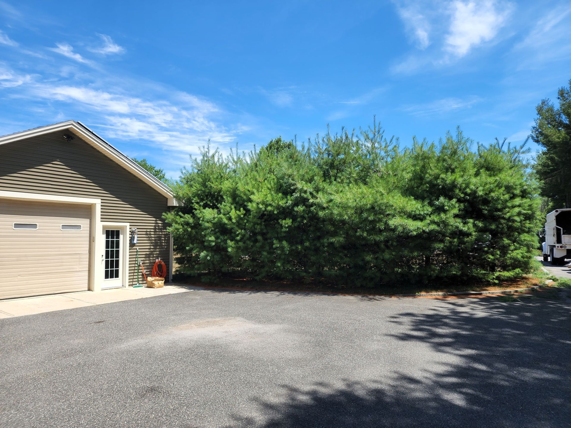 A house with a large hedge in front of it