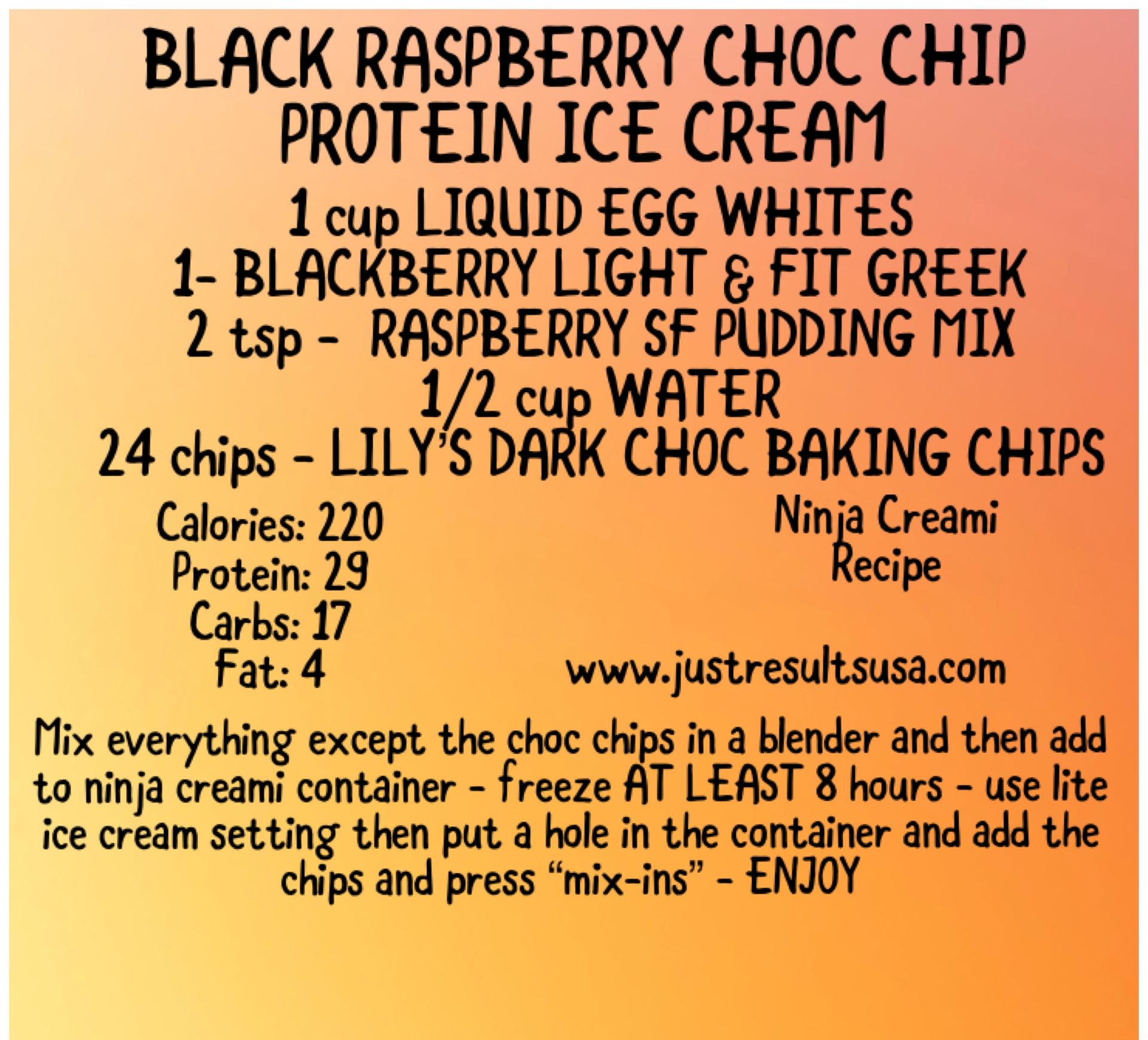 Black Raspberry Choc Chip Protein Ice Cream