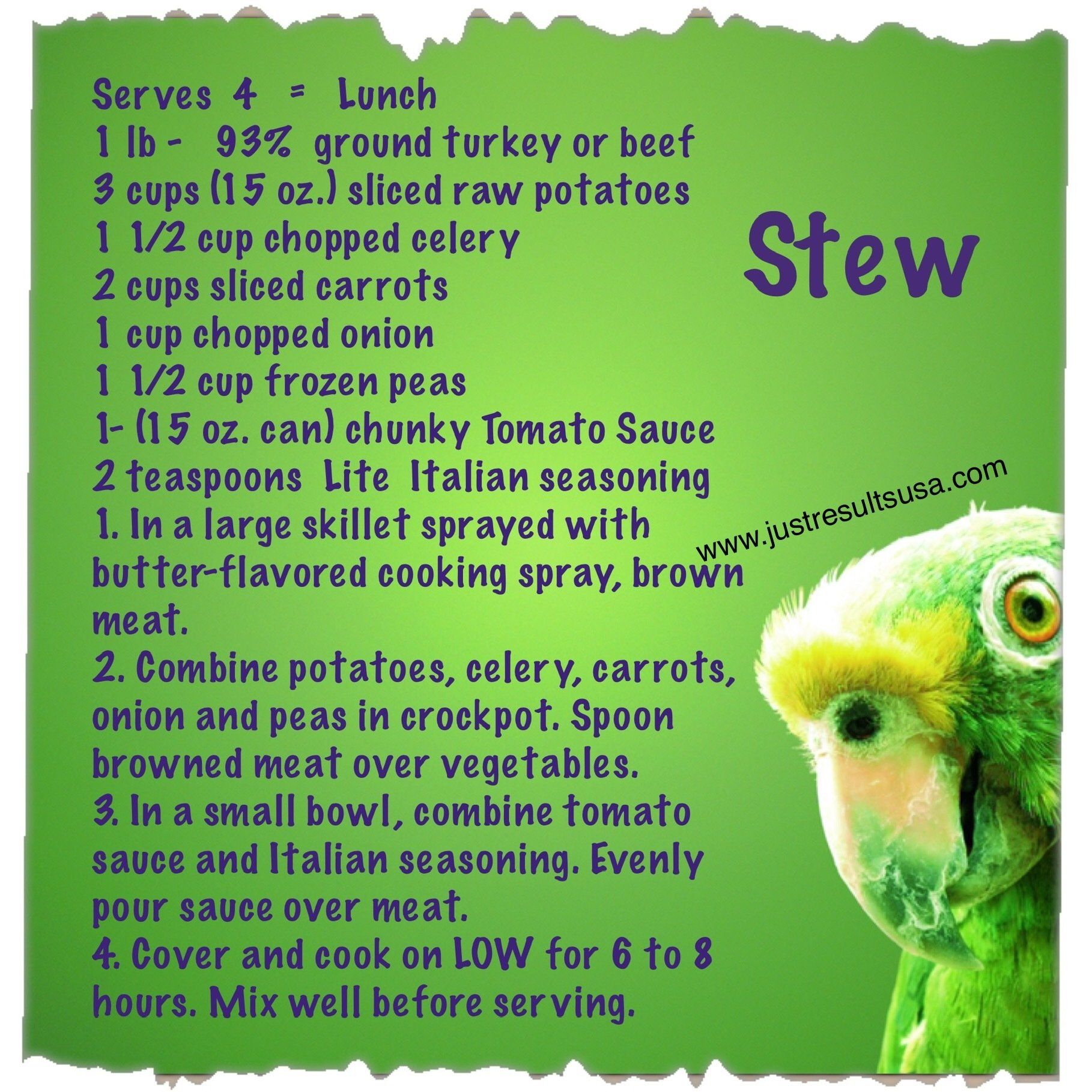 A recipe for stew with a picture of a parrot