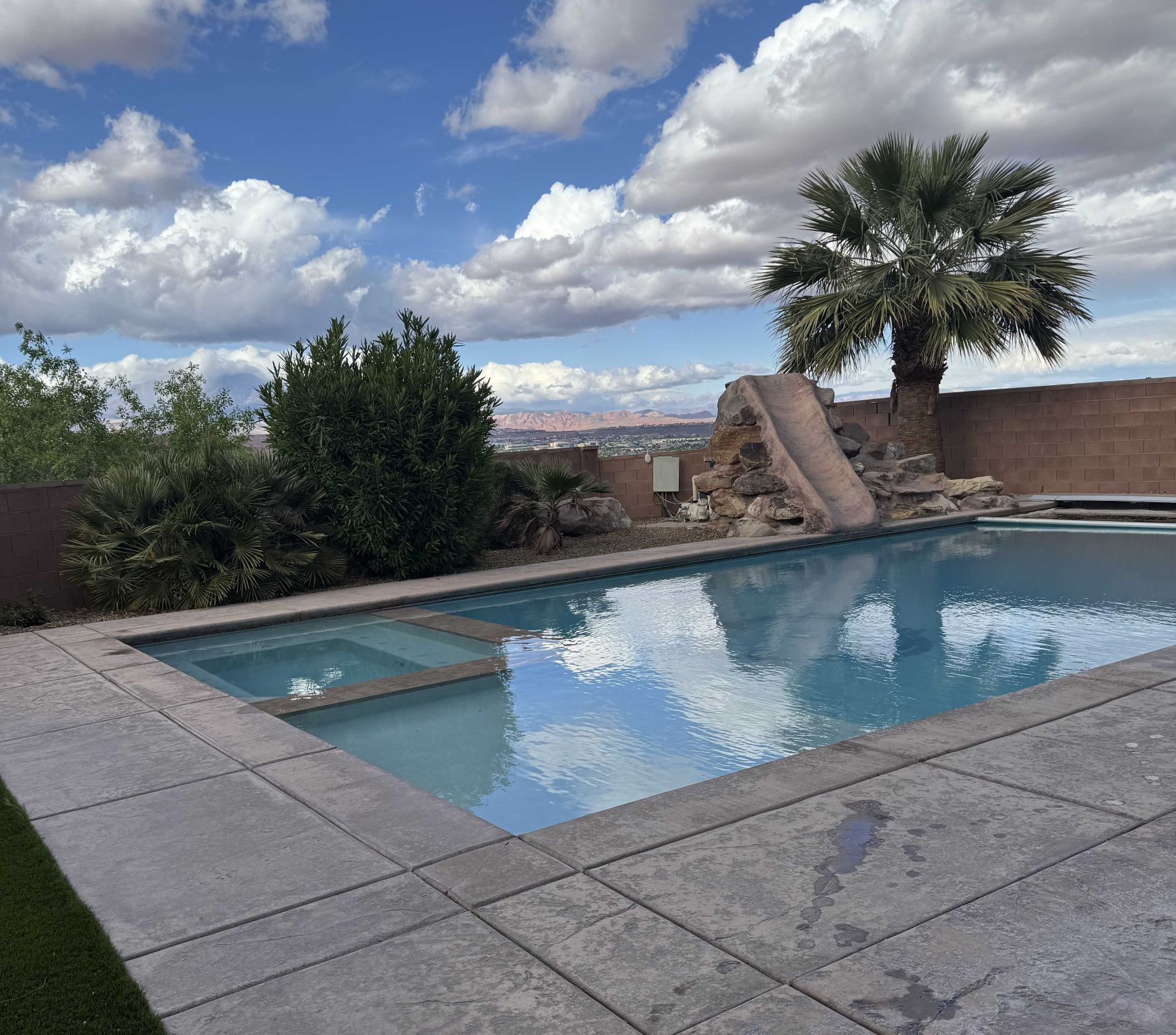 A large swimming pool with a slide and a palm tree in the background