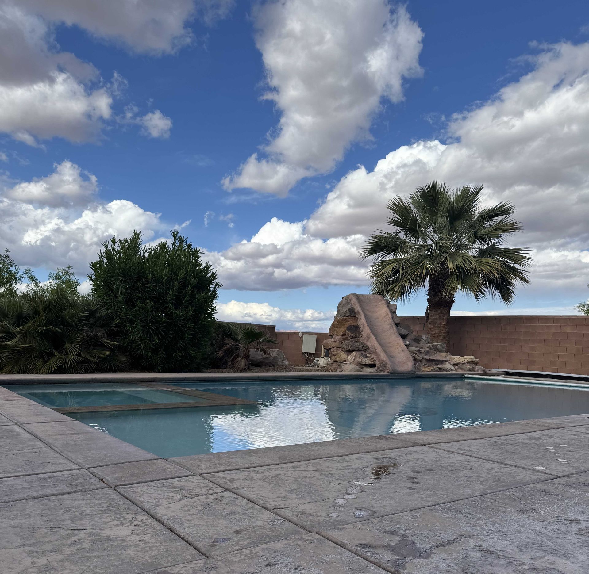 A swimming pool with a slide and a palm tree in the background