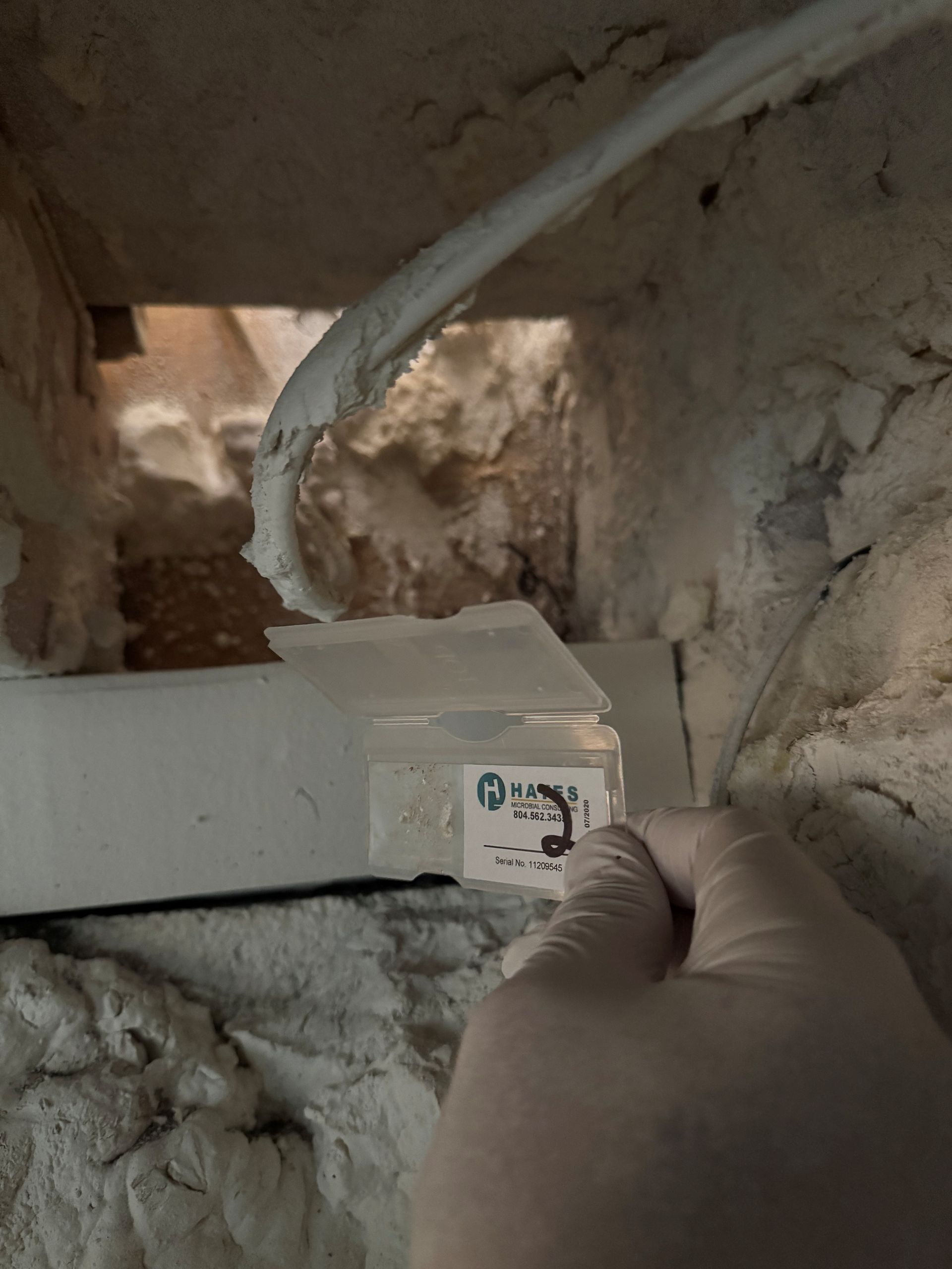 Person in mask uses moisture meter on a wall with mold.