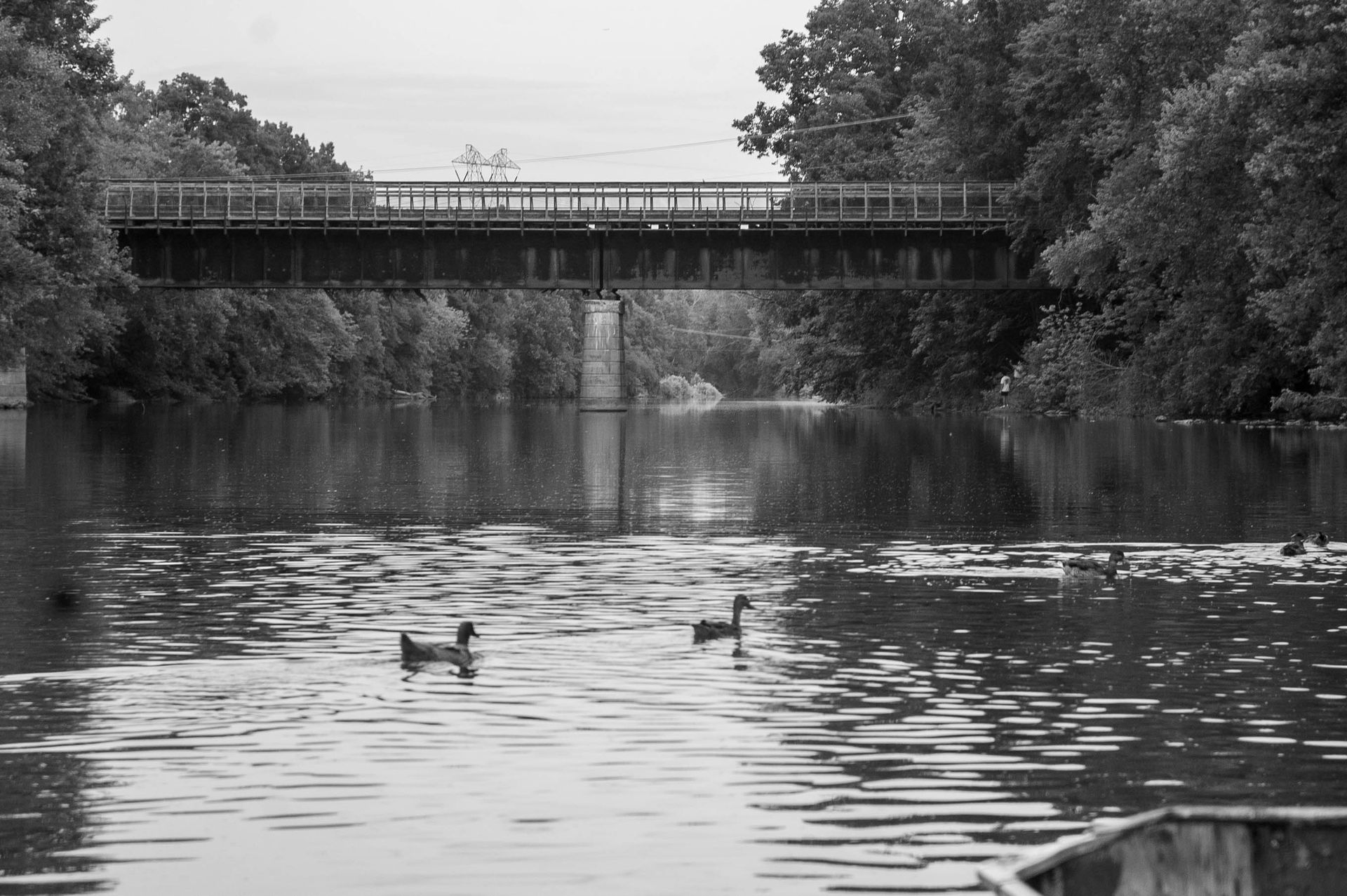 A black and white photo of ducks swimming under a bridge