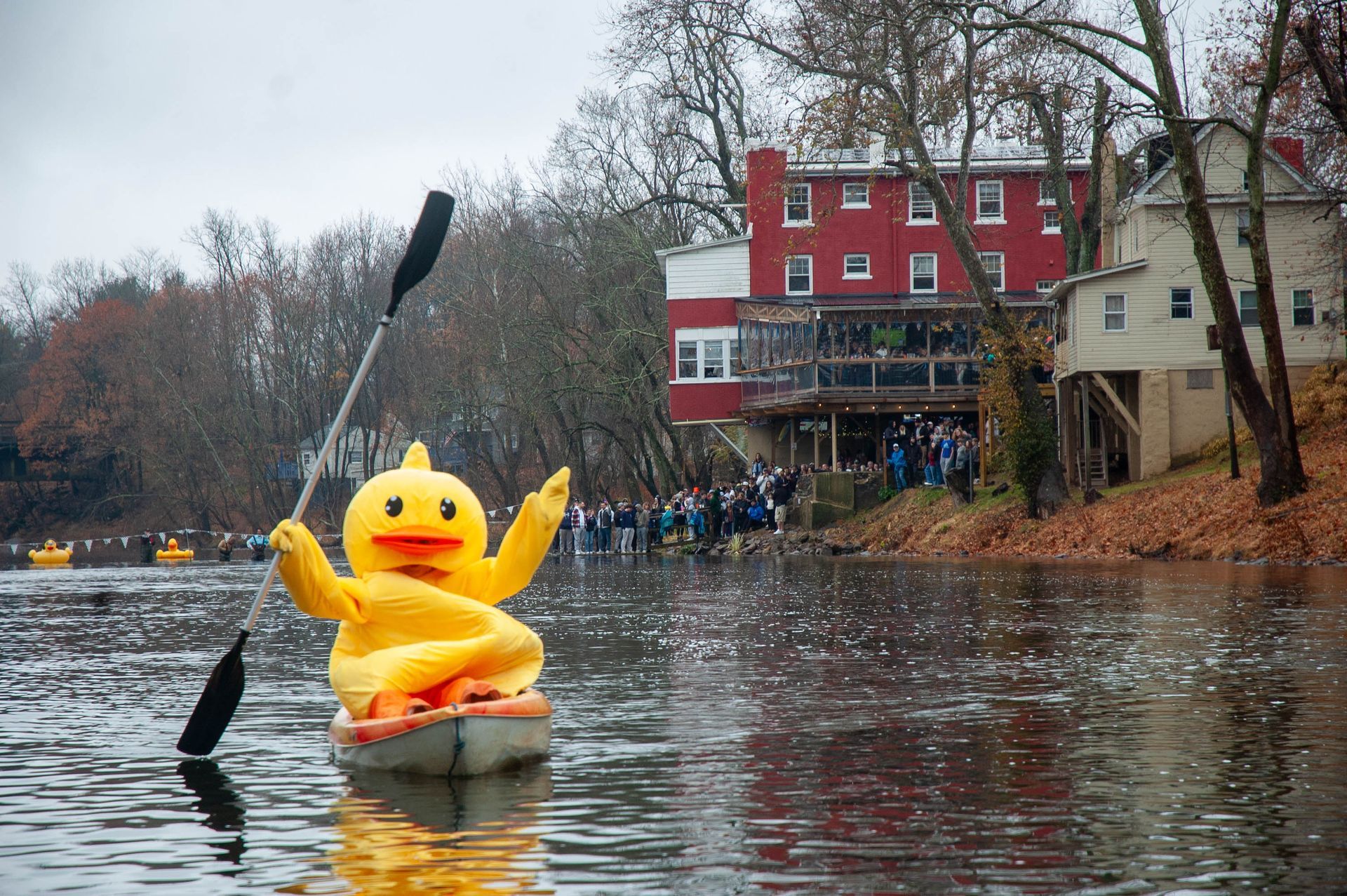 A yellow rubber duck is holding a paddle in the water
