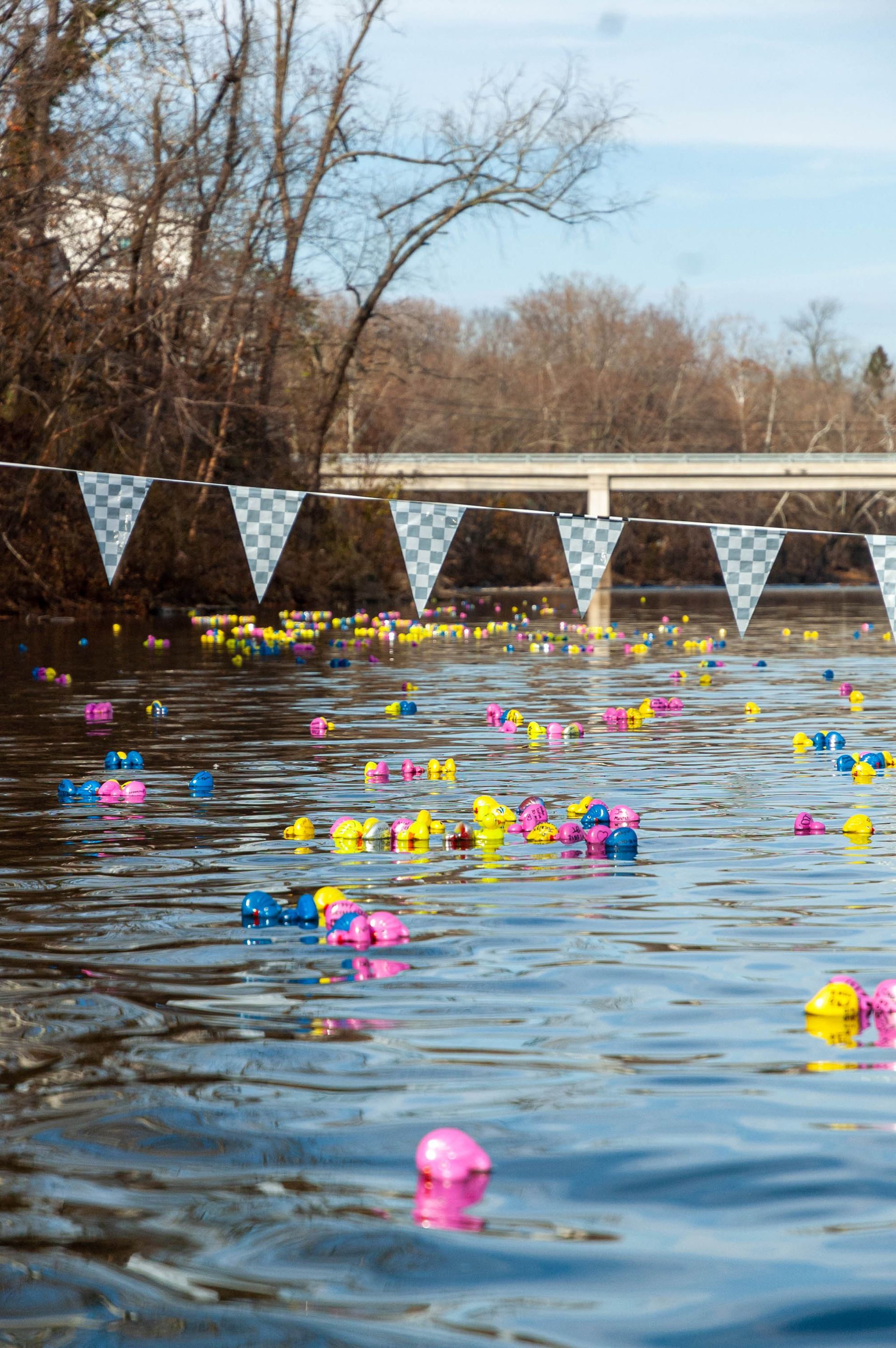 A bunch of ducks are floating on top of a body of water.