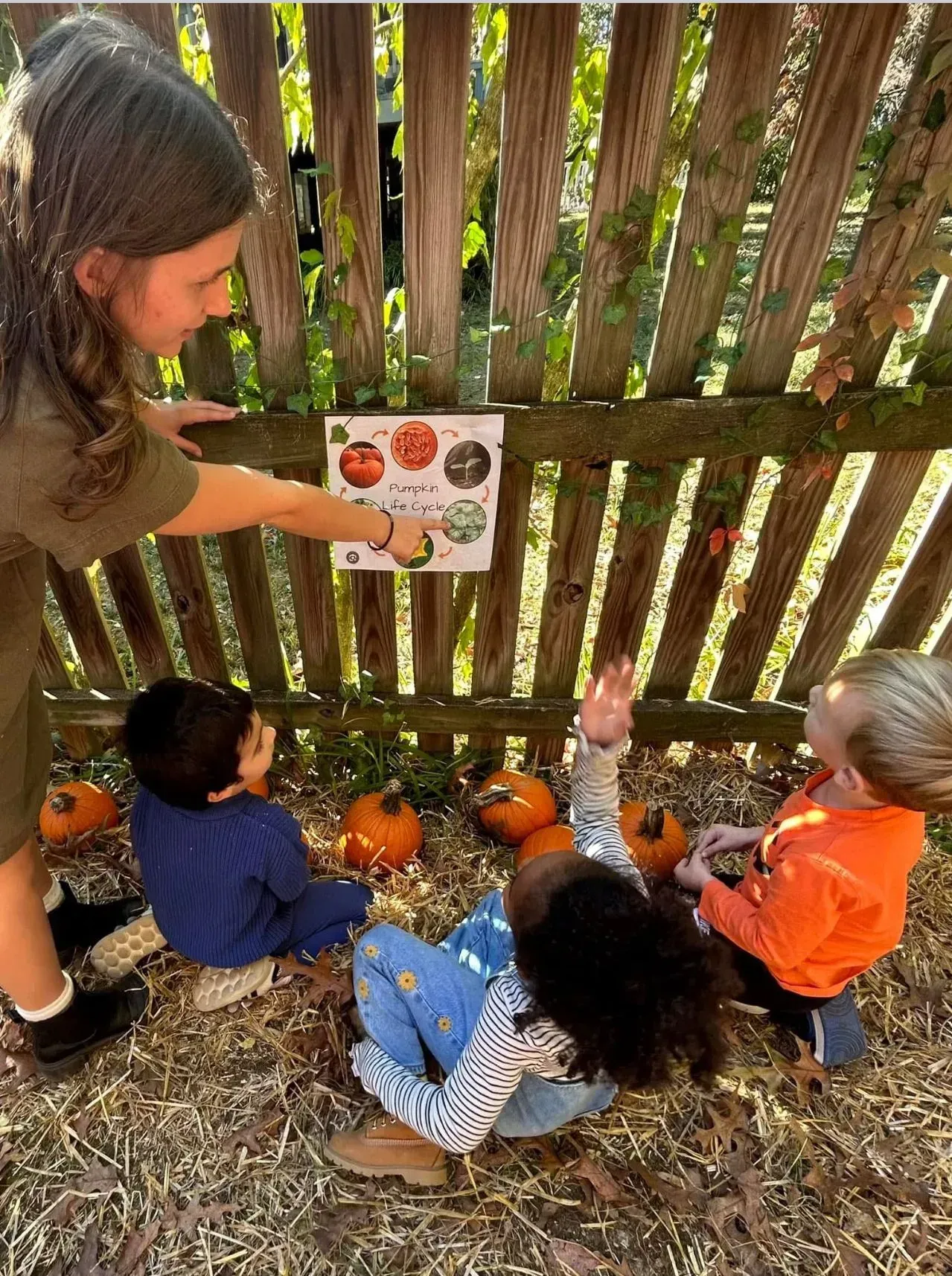 Children decorating a pumpkin display with a sign on a wooden fence in a pumpkin patch