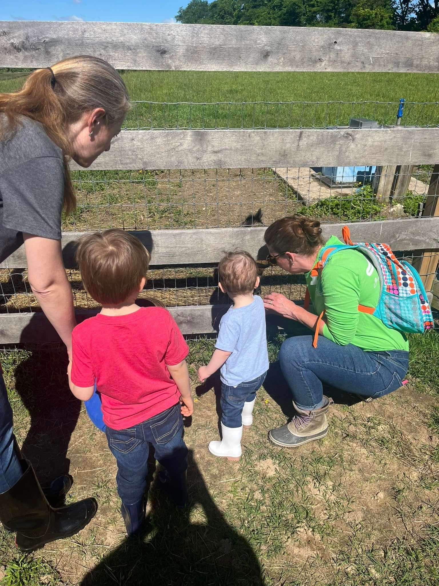 Adults and children crouch by a wooden fence, looking at the ground in a sunny grassy yard.