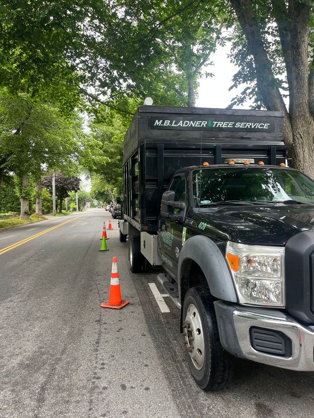 Ladner Tree Service