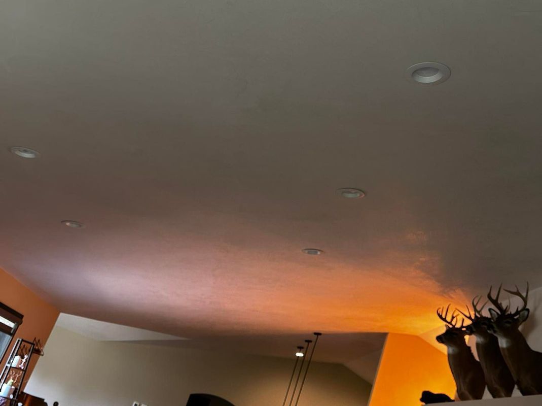 Low-angle view of a ceiling with recessed lights; below, mounted deer heads with orange and dim lighting.