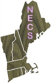 NECS New England Cabinetry and Stone