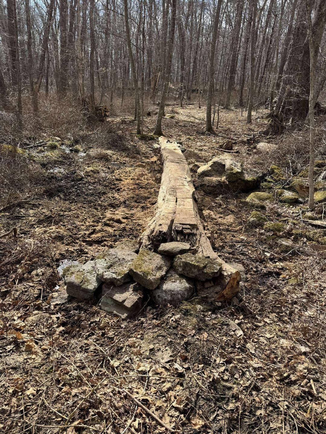 A fallen tree trunk over a small ravine, supported by stacked rocks, in a forest setting.