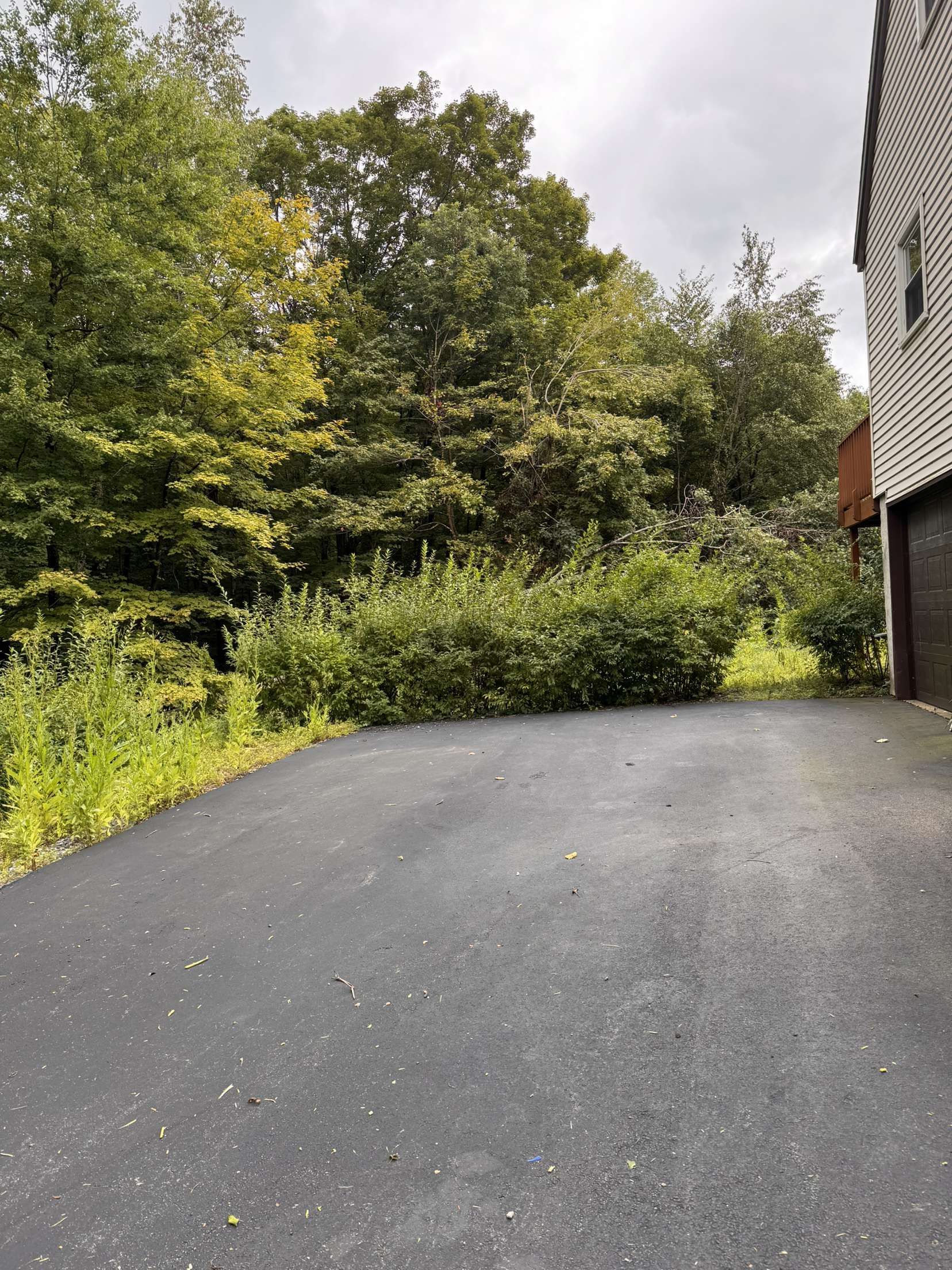 Black asphalt driveway leads to a wooded area, adjacent to a house with a garage door.