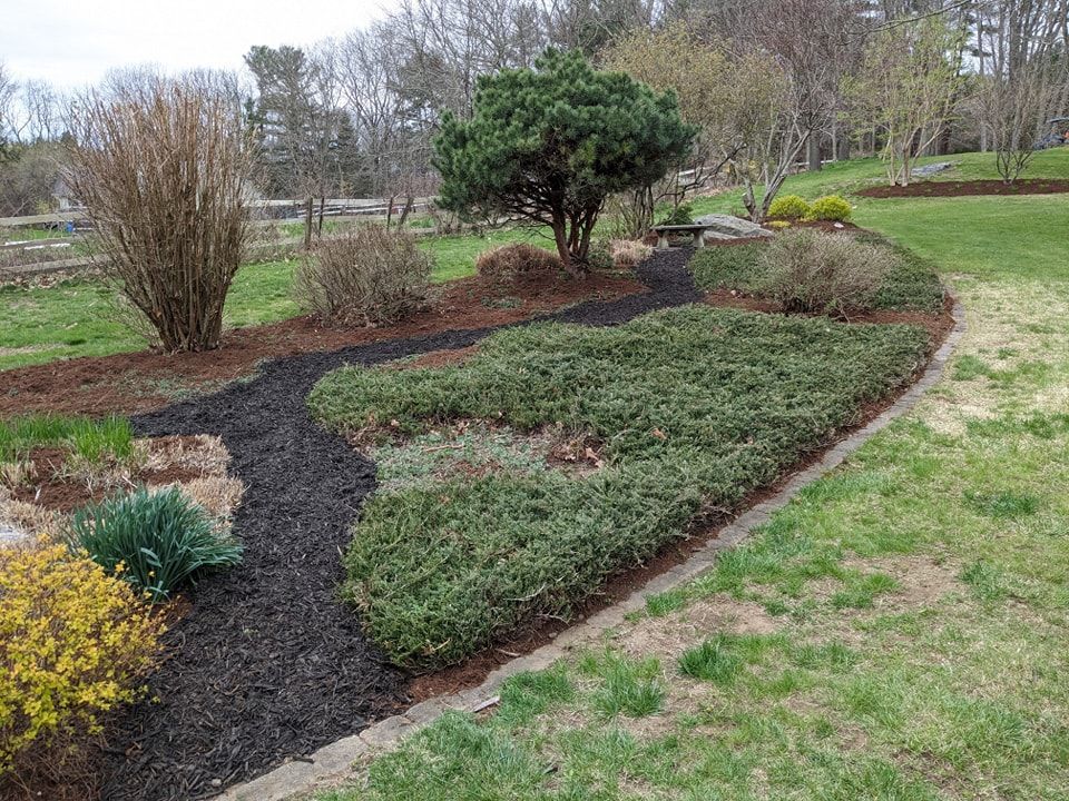Lush garden bed with green and brown plants, mulch path, and small tree on a grassy lawn.