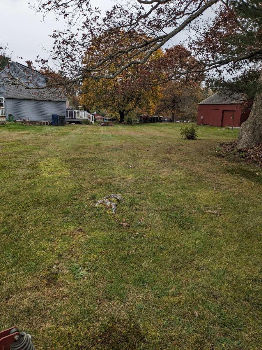 Grassy yard with buildings and trees in autumn. A red shed is visible. Overcast day.