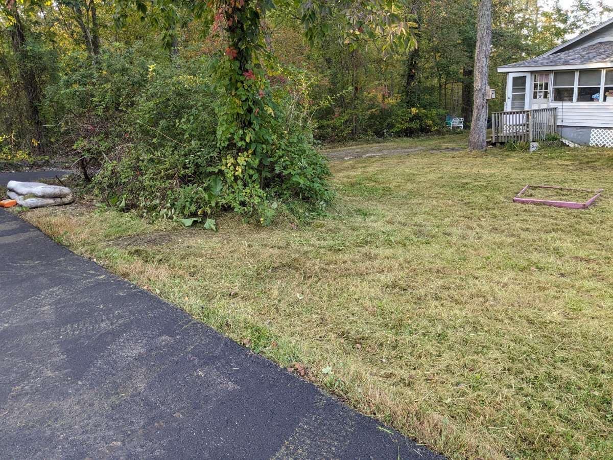 A yard with dry grass next to a driveway and a small house, with bushes and trees in the background.