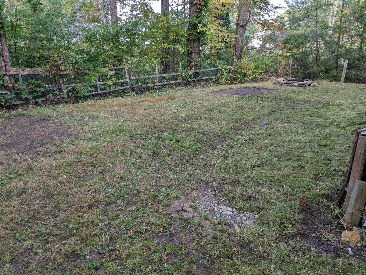 Grassy backyard with a fire pit, wooden fence, and trees. Overcast sky.