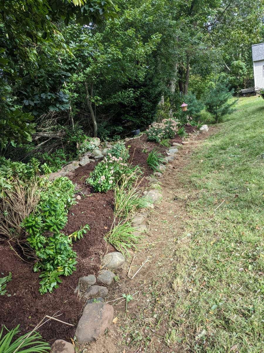 A garden bed lined with rocks and mulch, filled with green plants, next to a grassy lawn.