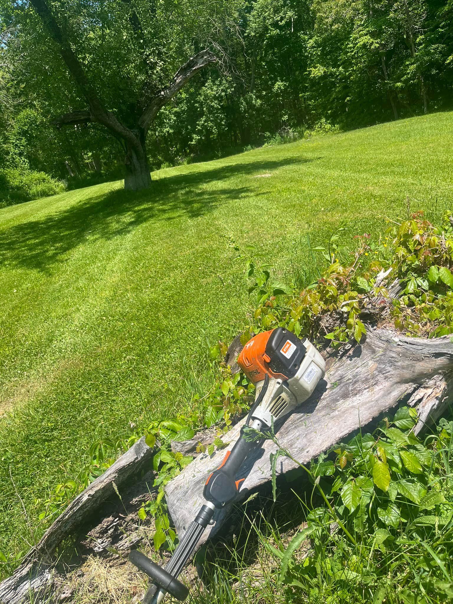 A chainsaw resting on a weathered log in a grassy yard, with a tree in the background.