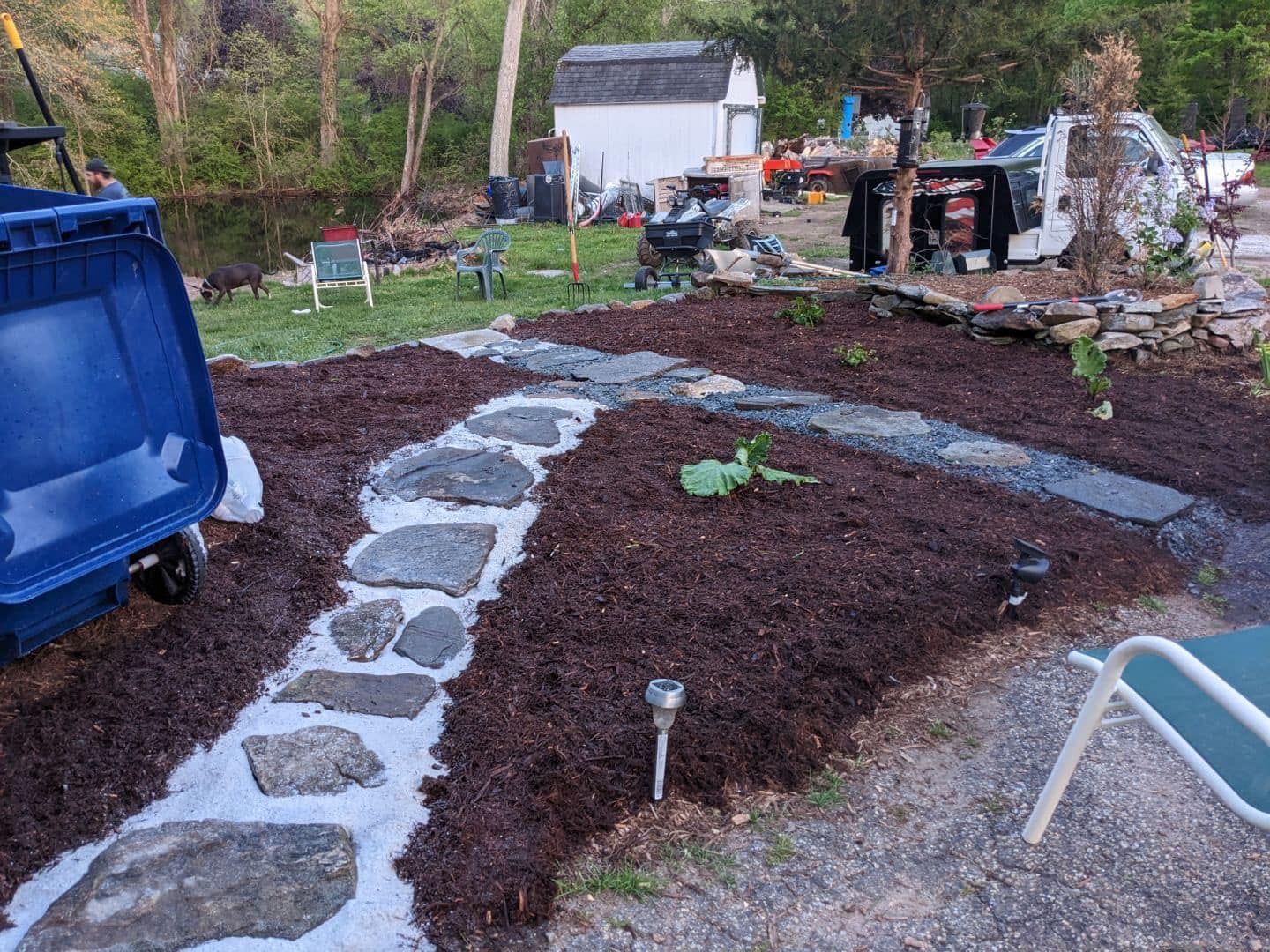 Stone pathway through a garden with dark mulch, leading to a shed. A blue wheelbarrow sits nearby.