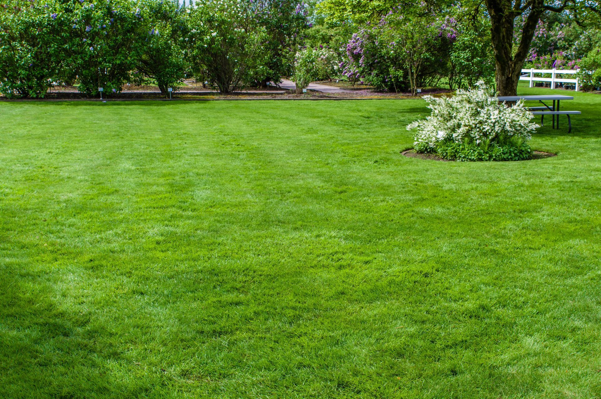 Green's Lawn Care & Landscaping