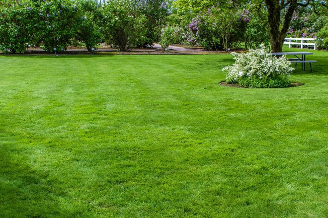 Green's Lawn Care & Landscaping