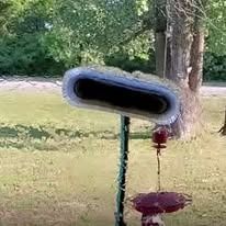 A blurry, elongated, light-colored object sits atop a pole above a red hummingbird feeder in a grassy yard.