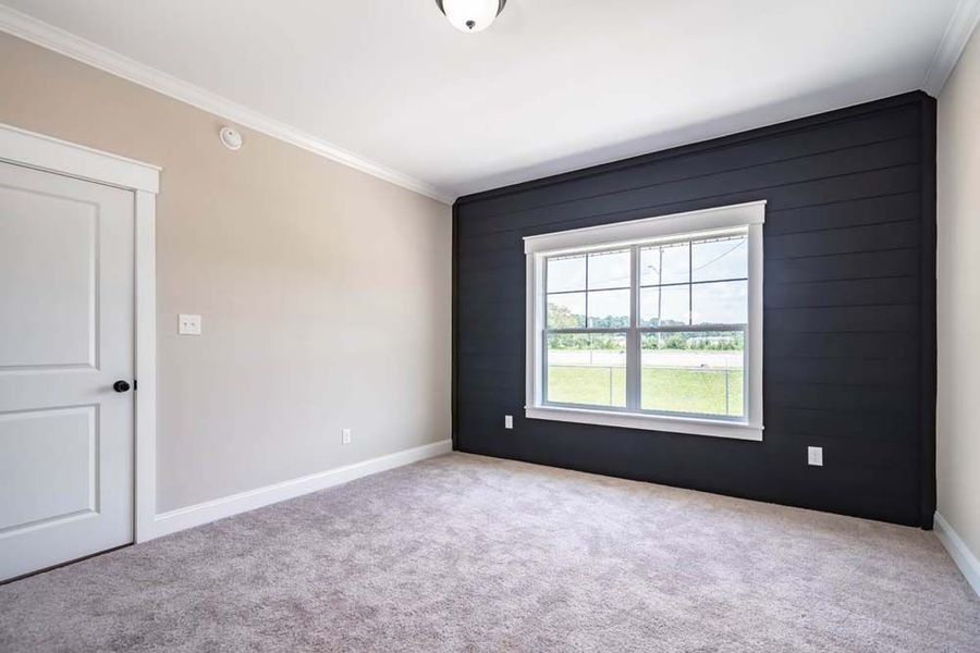 Empty bedroom with a dark accent wall, window, door, and carpeted floor.